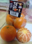 02955_ed.jpg