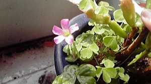 2013052208520000