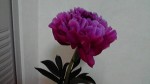 2013060318080000