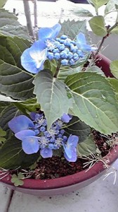 2013060511380000