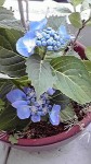 2013060511380000