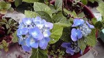 2013060911000000