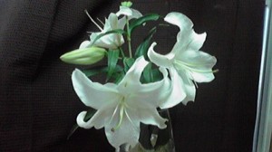 2013110515040000