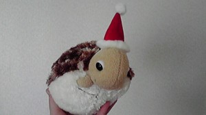 2013122308570000