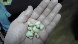 2014020208150000