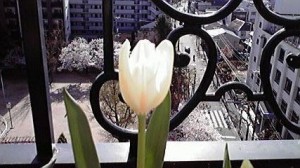 2014040308140000