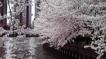 2014040313540000