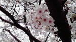 2014040314040000