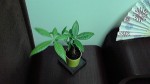 2014080813410000