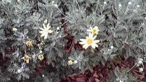 2014122315190000