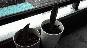 2015031214070000