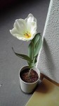 2015040214490000