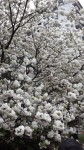 20150412_174143