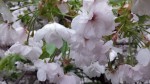 20150412_175431