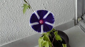 2015070909470000