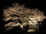 IMG_0143