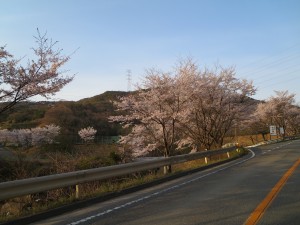 IMG_0157