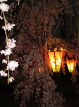 IMG_01902