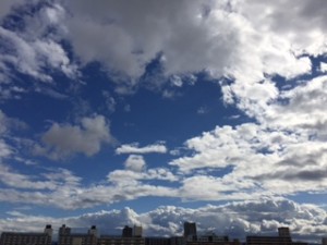 IMG_0206