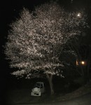 IMG_0223-2