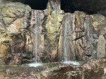 IMG_0310 (1)