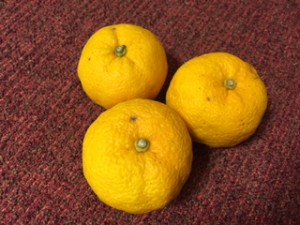 IMG_0310