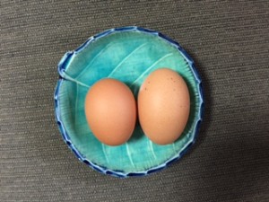 IMG_0574