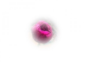 IMG_0778 bb