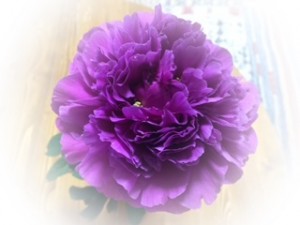 IMG_0785 b