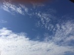 IMG_1363