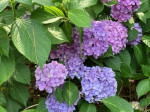 IMG_1637