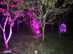 IMG_1879