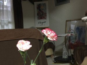 IMG_1945