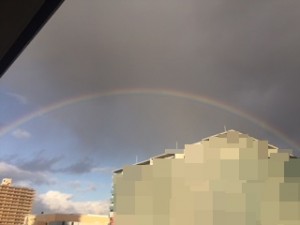 IMG_2779 q