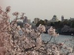 IMG_2966