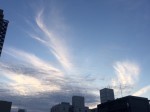 IMG_3050