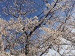 IMG_3582