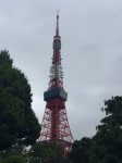 IMG_3793