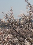 IMG_5358