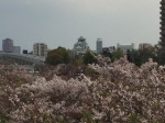 IMG_5438