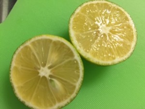 IMG_5770