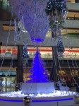 IMG_5961