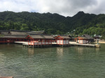 IMG_7735