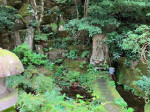 IMG_8344