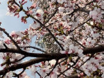 IMG_9226