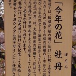 KIMG0233