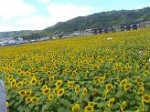 aaa